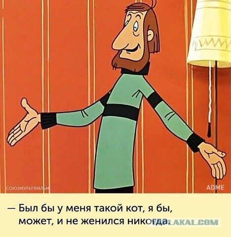 Котя лижет окошко