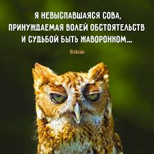 А вы сова или жаворонок?⁠⁠