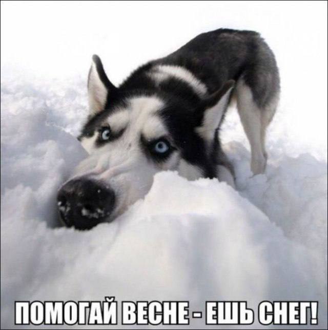 Картинки для деградации 154 (разной степени свежести)