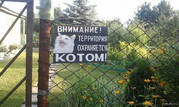 Зло выпустили