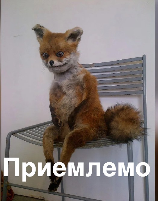 Похож?