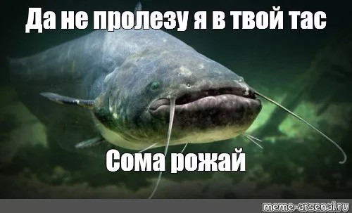 Снасти придумали трусы