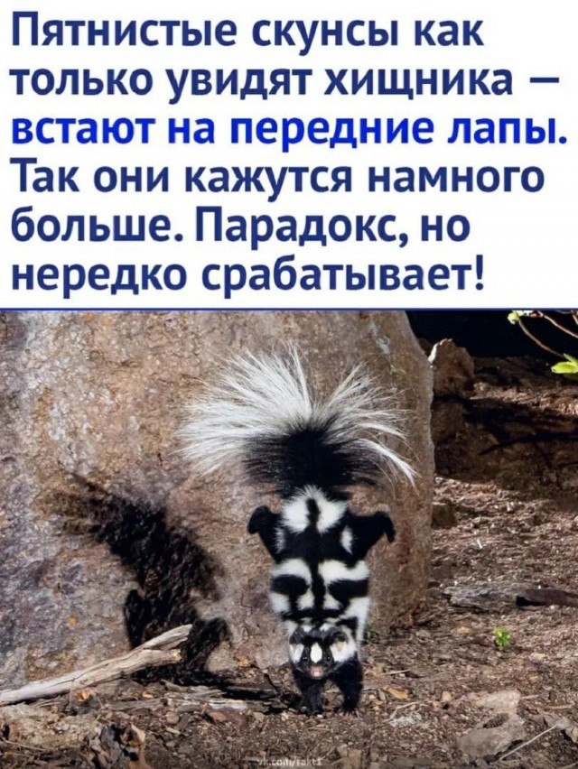 Так себе картинки 14.08.26