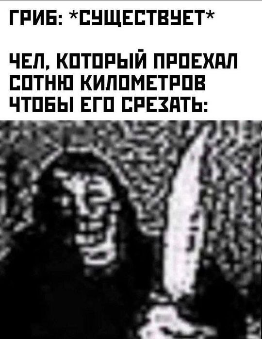 Грибы пошли