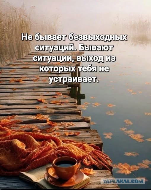 Так себе картинки 29.09.26