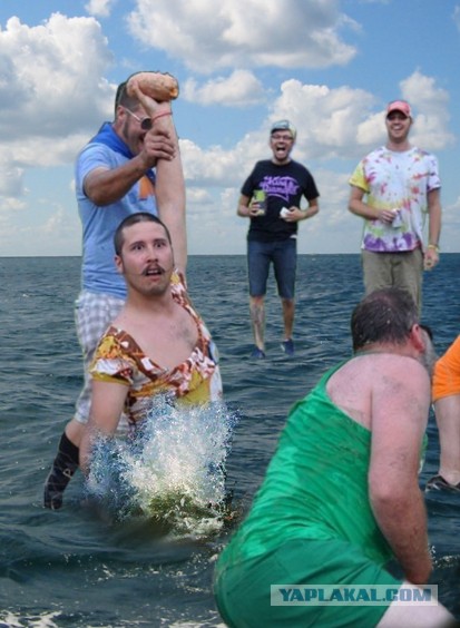 Мой друг нашел картошку!