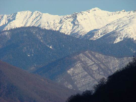 Абхазия, январь 2010