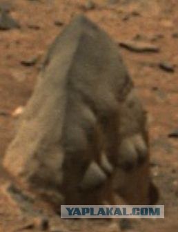 Камень с выгравированным лицом на Google Mars!