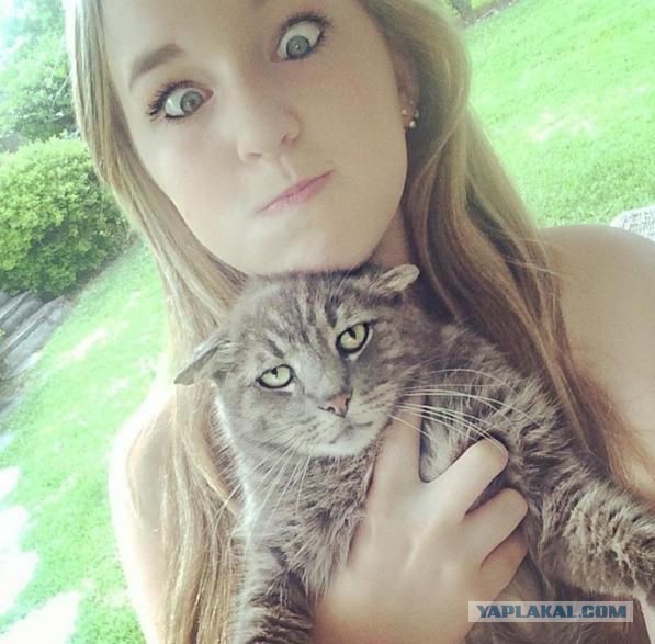 Смешное из соц сетей