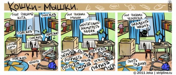 Кошки мышки