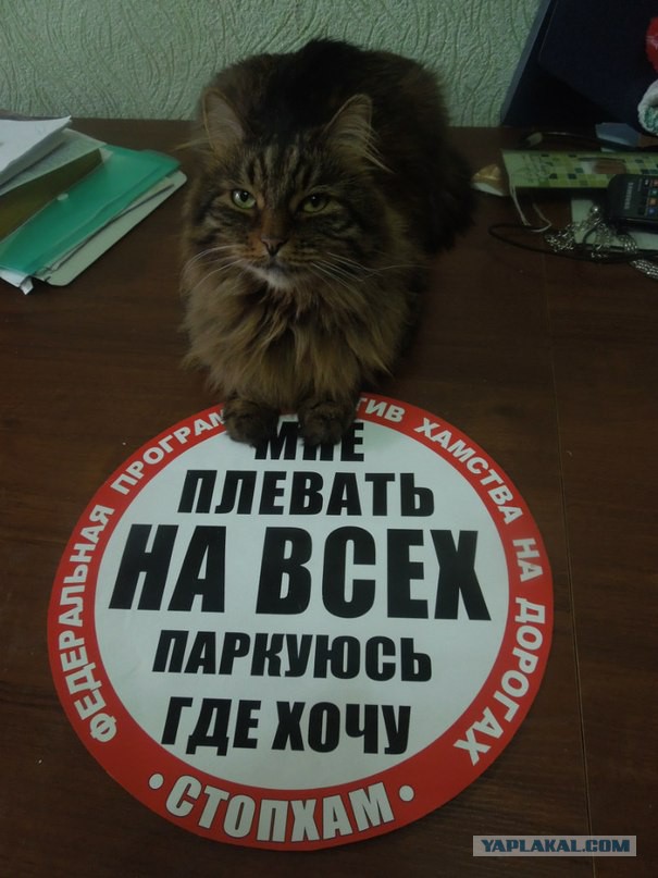 Деньги на жизнь