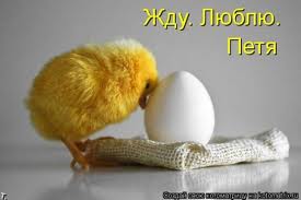 Добряки, плюсующие всех подряд