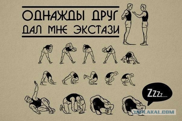 Подборка веселых картинок