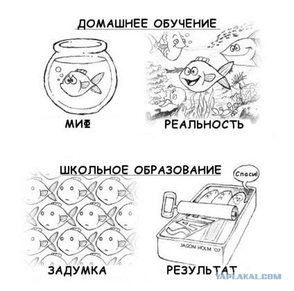 Житель Павлодара отказался отдавать дочь в школу