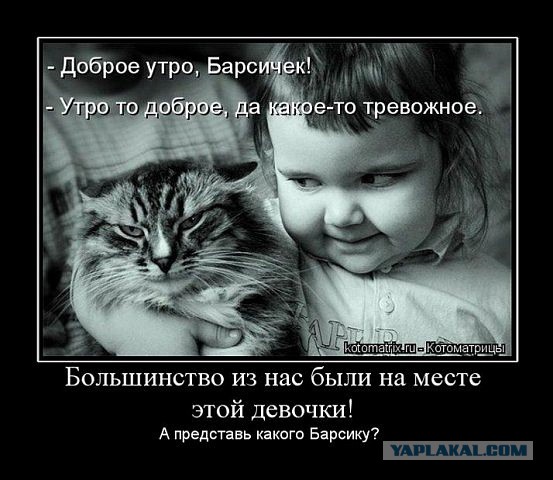 Весёлые картинки