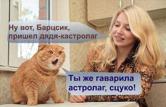 Веселые картинки