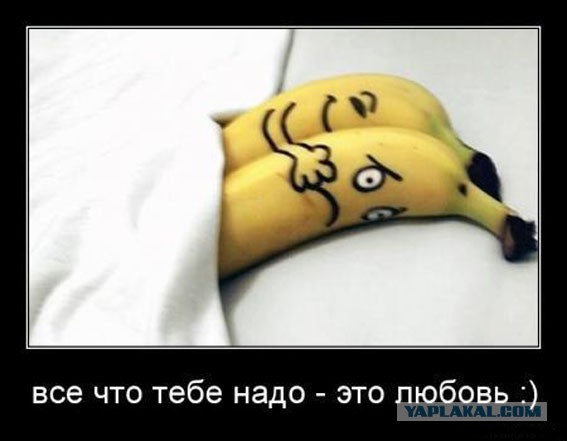 Давно демотиваторов не было