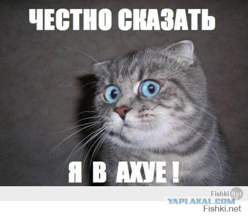 Странные и загадочные из соцсетей