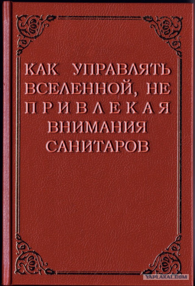 Яценюк: грабли - дубль два