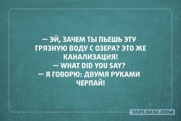 Весёлое из сети