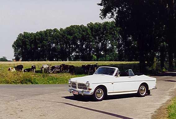 Игра на ЯПе: Угадай АВТО-9