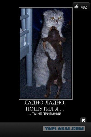 Обращение к..