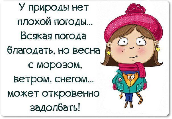 С утра за окном, Новосиб