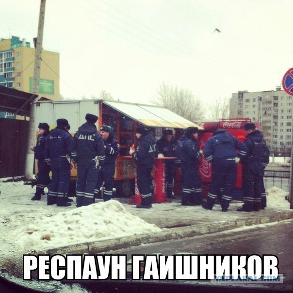 Прикольные картинки из сети