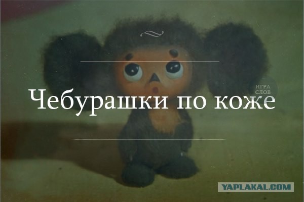 Просто картинки