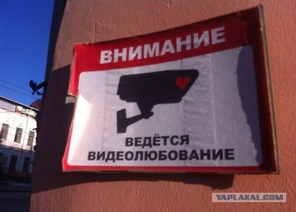 41 веселая картинка