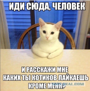 Весёлости в картинках