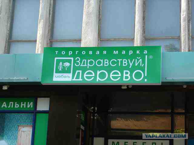 Картинки для настроения