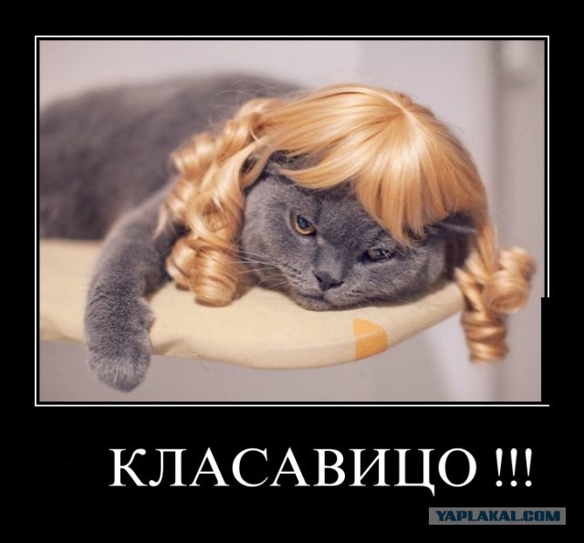Вы хотите "демов"?