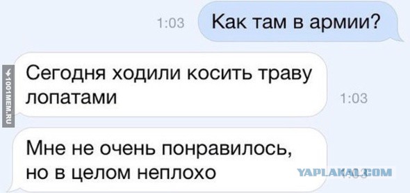 Смешные комментарии из социальных сетей 26.08.15