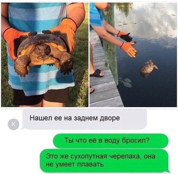 Ужасы и приколы из соцсетей 18+