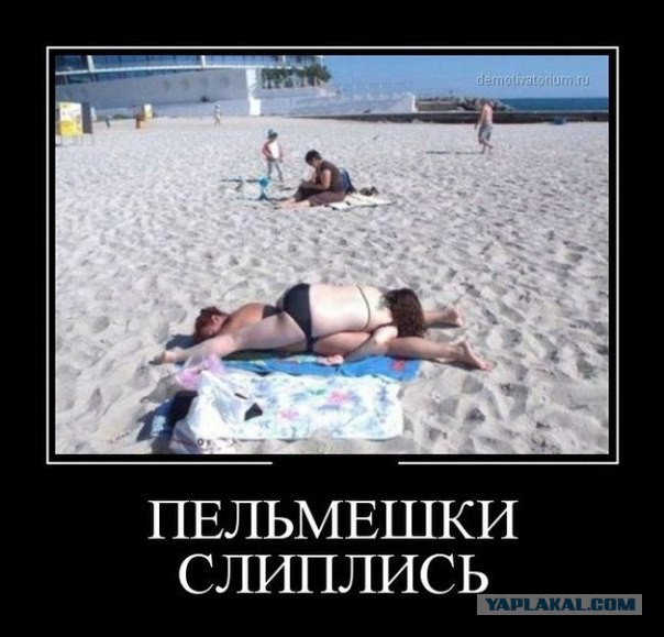 Прикольные картинки и демотиваторы