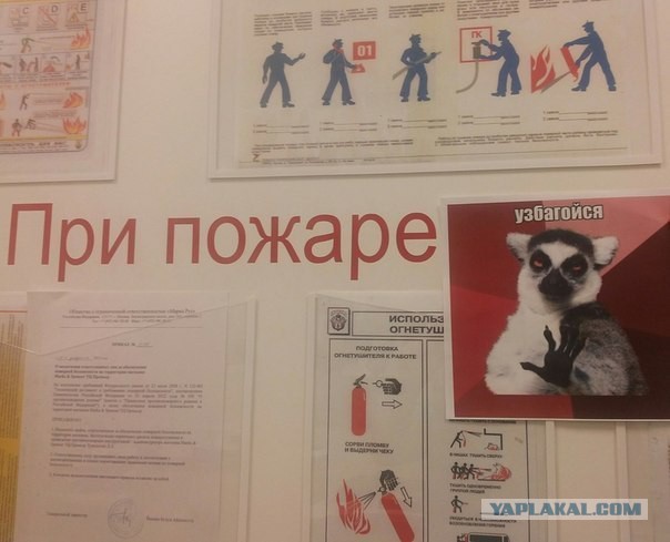 Картинки и приколы из соцсетей
