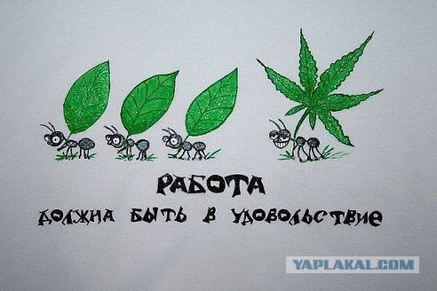 Картинки и приколы из соц.сетей и интернета