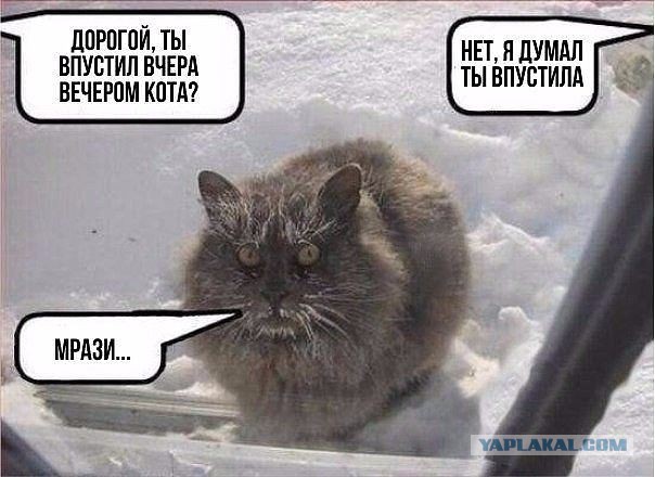 Картинки с надписями