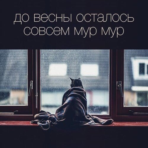 Картинки из ваших этих итернетов...