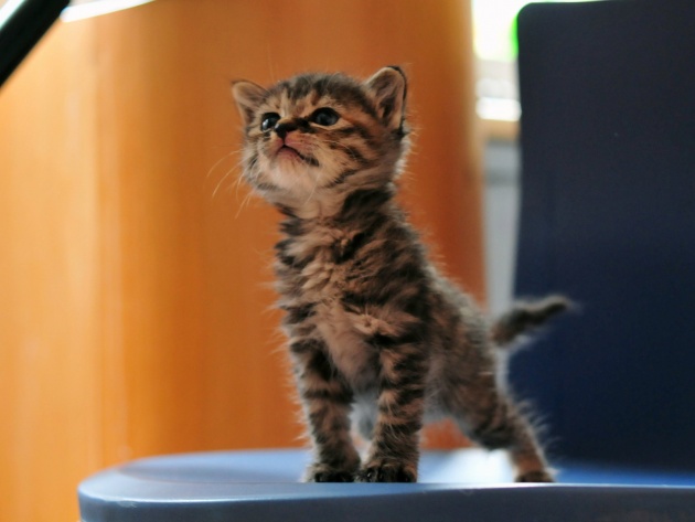 Подборка картинок 24.02.16