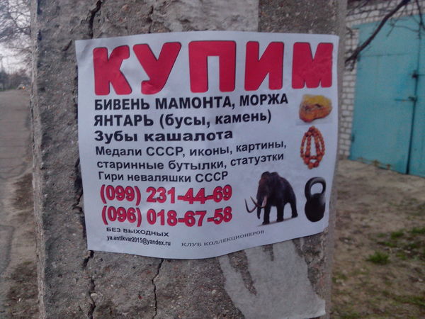 Картинки из этих, ваших...