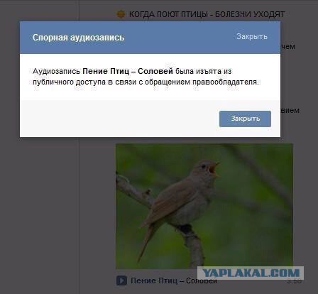 Немного юмора