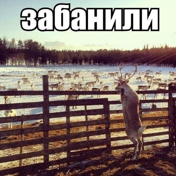 Подборка картинок