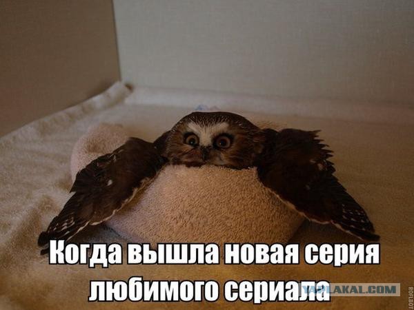 Киев -Мэрия.Эвакуация охраны. ?