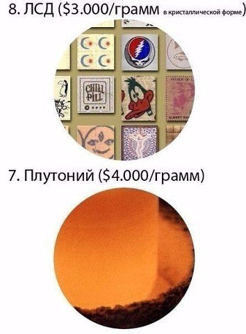Интересные и веселые картинки