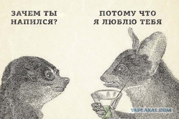 Пятничный алкотрэш и немного чернухи