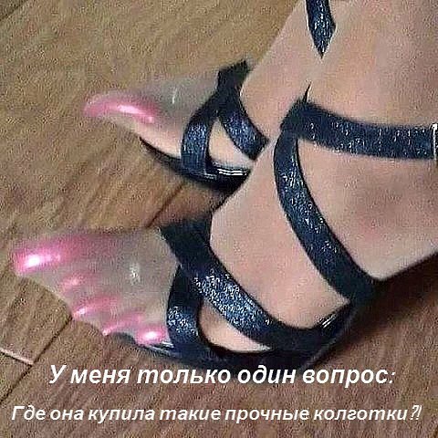 Подборка интересных и веселых фото