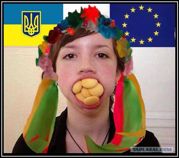 В Раде заявили о готовности Украины занять место Великобритании в Евросоюзе