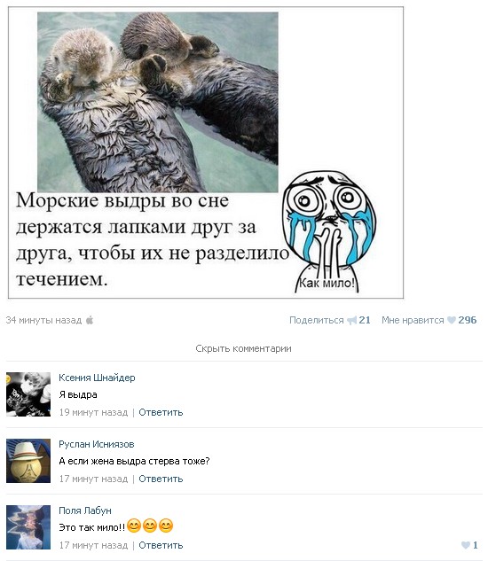 Ужасы и приколы из соцсетей 18+